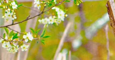 pics03